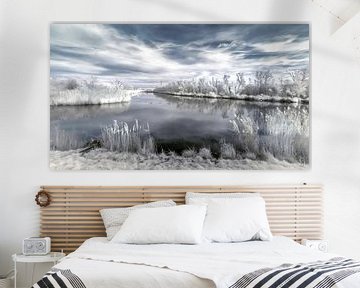 Winternamiddag in de Biesbosch van Ad Van Koppen Fotografie