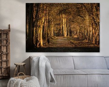 Chaos van Ronald Smeets Photography