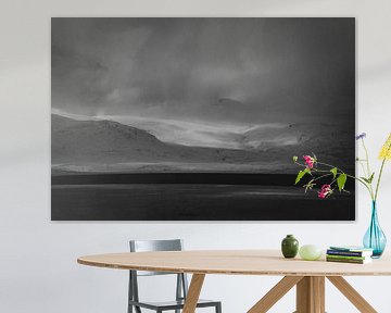 Minimalistisch, abstract zwartwit landschap van IJsland