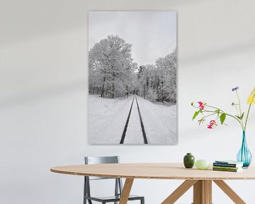 Verschneiter Wald in Göhren, Eisenbahnschienen von GH Foto & Artdesign