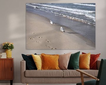 Meeuwen op het noordelijk strand in Göhren van GH Foto & Artdesign