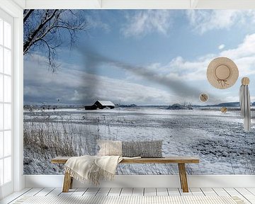 Winterlandschaft, Middelhagen auf Rügen