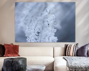 Detail winterfoto, rijp aan een takje van Karijn | Fine art Natuur en Reis Fotografie