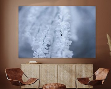 Detail winterfoto, rijp aan een takje van Karijn | Fine art Natuur en Reis Fotografie