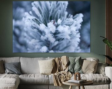 plante verte en hiver sur Karijn | Fine art Natuur en Reis Fotografie