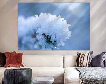 macro picture, nature in winter by Karijn | Fine art Natuur en Reis Fotografie