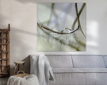 Wilde wingerd van Marlies Prieckaerts
