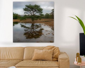 Reflection by Roland's Foto's