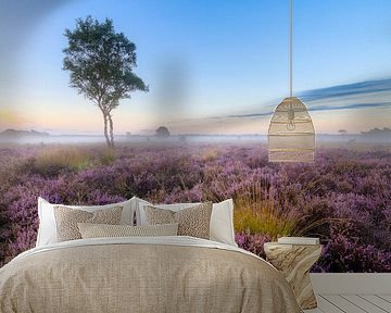 Lone birch on the Strabrecht heathland by Joep de Groot