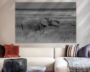 Throwing mud by Jeroen Zelle