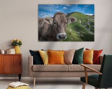 Kuh am Nebelhorn von Stefan Mosert
