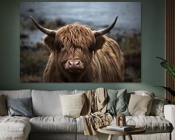 Schotse hooglander portret