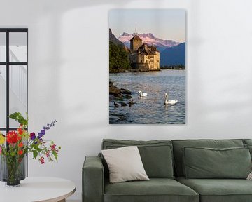Swans near Château de Chillon, Montreux Switzerland by Sebastiaan Terlouw
