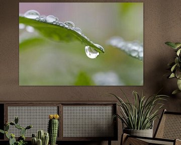Hangende regendruppel van Studio Zwartlicht