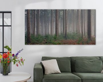 Pine forest like from a fairytale by Toon van den Einde
