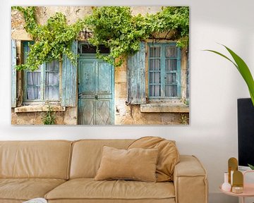 verveloze ramen en wijnranken van oud woonhuis in Morvan, Frankrijk van Jan Fritz