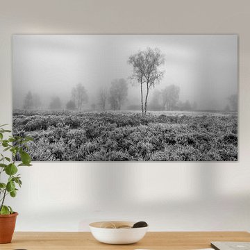 De Meinweg - Misty Morning in Black and White