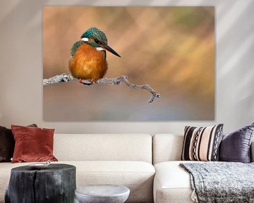 Kingfisher by Ria de Heij