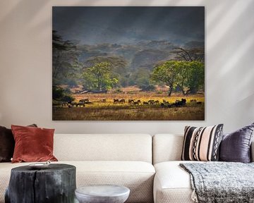 "Garten Eden", im Kratermund des Ngorongoro. von Machiel Zwarts