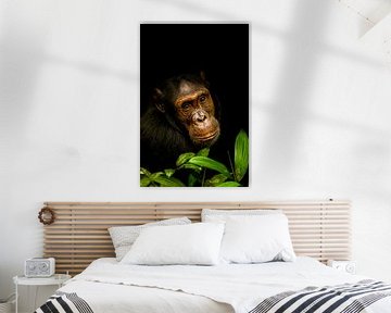 Chimpanzé | Portrait d'un animal sombre. sur Gunter Nuyts