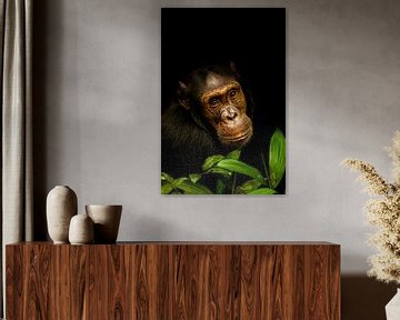 Chimpansee | Dark Animal Portrait. van Gunter Nuyts