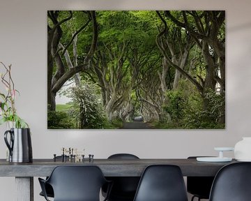 Dark Hedges van Ruud de Soet