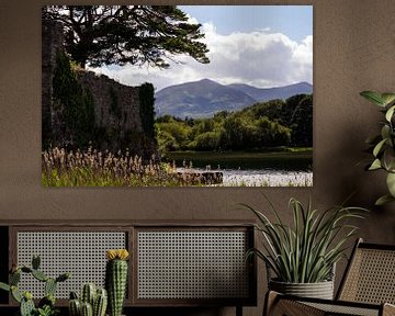 Alte Mauern, Wasser und Berge an einem schönen Tag in Killarney, Irland von elma maaskant