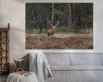 DamHert von Aart Brockhaus