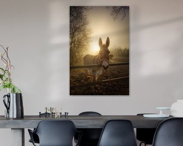 Een nieuwsgierige ezel poseert voor een portret op een mooie mistige  winter ochtend in Drenthe van Bas Meelker