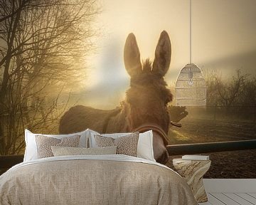 A curious donkey poses for a portrait on a beautiful foggy winter morning in Drenthe by Bas Meelker