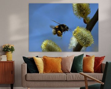 Hommel in vlucht