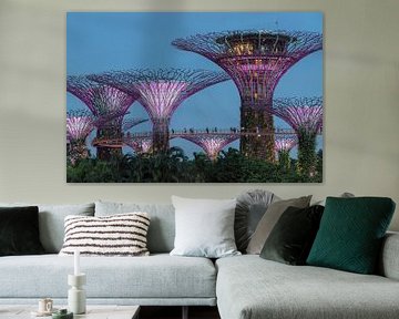 Supertrees, Gardens by the Bay, Singapore van Markus Lange