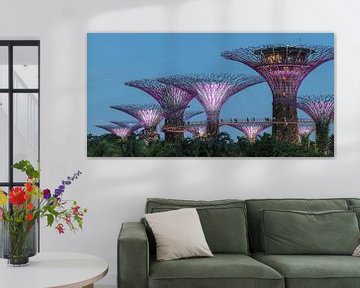 Supertrees, Gardens by the Bay, Singapour sur Markus Lange
