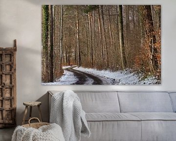 Pad in het winterbos van CSB-PHOTOGRAPHY