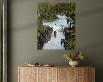 Sunwapta Falls, Icefields Parkway, Jasper National Park, Alberta, Canada van Alexander Ludwig