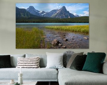Watervogelmeer, Icefield Parkway, Banff National Park, Alberta, Canada van Alexander Ludwig