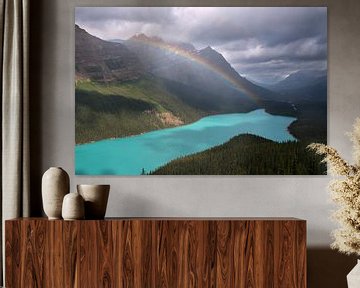 Peyto Lake, Icefield Parkway, Banff National Park, Alberta, Kanada von Alexander Ludwig