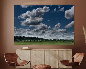 Prairie néerlandaise avec nuages