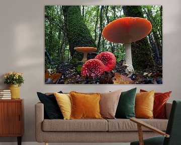 Vier  heel kleurrijke paddenstoelen met rijke bosomgeving als achtergrond van Lieven Tomme