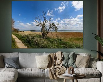 Entlang der Küste bei Glutzow, Insel Rügen von GH Foto & Artdesign