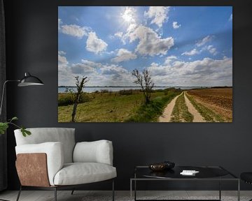 Chemin de campagne le long de la côte près de Glutzow, île de Rügen sur GH Foto & Artdesign