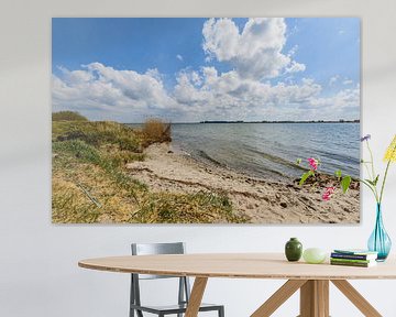 Natuurlijk strand bij Glutzow aan de Strelasund, eiland Rügen van GH Foto & Artdesign