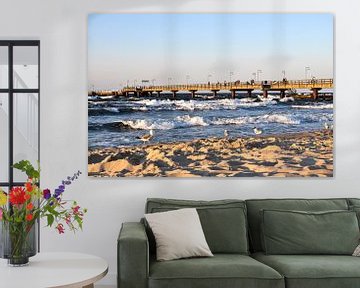 Seagulls on the northern beach in Göhren on the island of Rügen by GH Foto & Artdesign