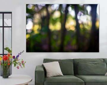 Verirrt... von Jan van der Knaap