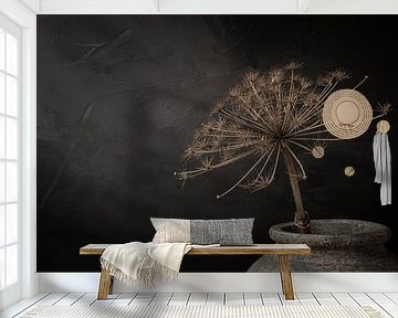Still life with large dried hogweed in grey stone jar (panorama version) by Mayra Fotografie