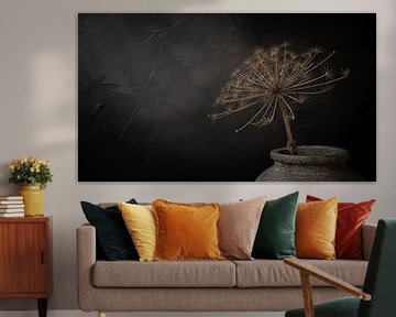 Still life with large dried hogweed in gray stone jar (version panorama) by Mayra Fotografie