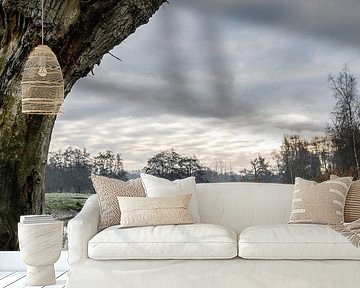 Een wandeling rondom de Dommelbeemden