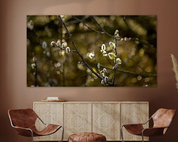 Branches with small flowers on them 2 by Percy's fotografie