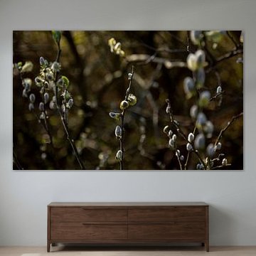 Branches with small flowers on them