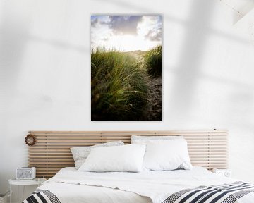 Düne mit Strandhafer und untergehender Sonne. Naturfotografie von Frank van Hulst